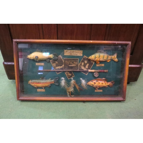 4431 - A cased diorama of fish, 37cm x 50cm