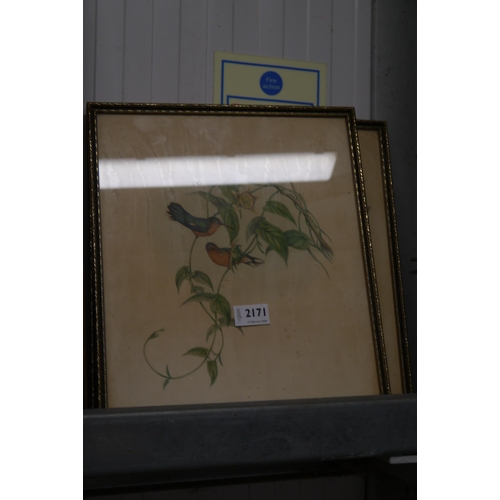 2171 - Three framed and glazed images of birds, 