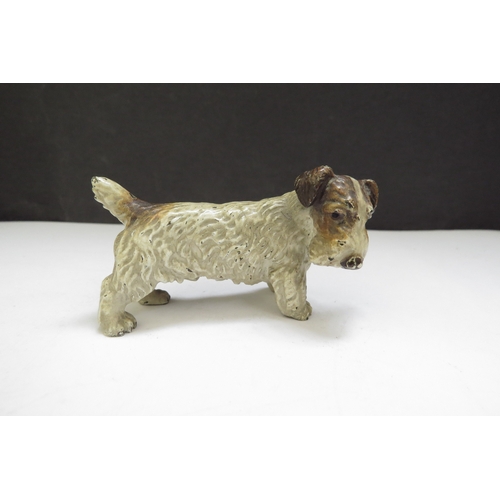 6389 - An Austrian cold painted bronze of a terrier, 7cm long