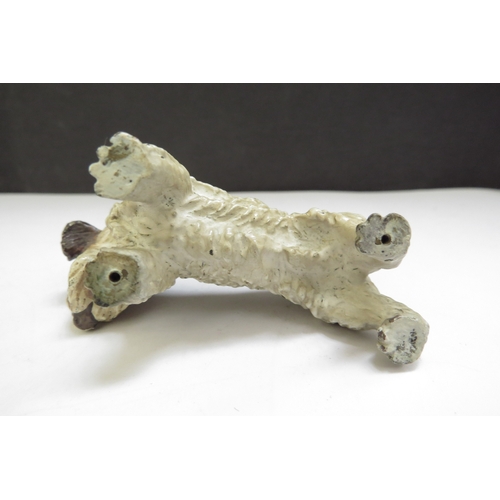 6389 - An Austrian cold painted bronze of a terrier, 7cm long