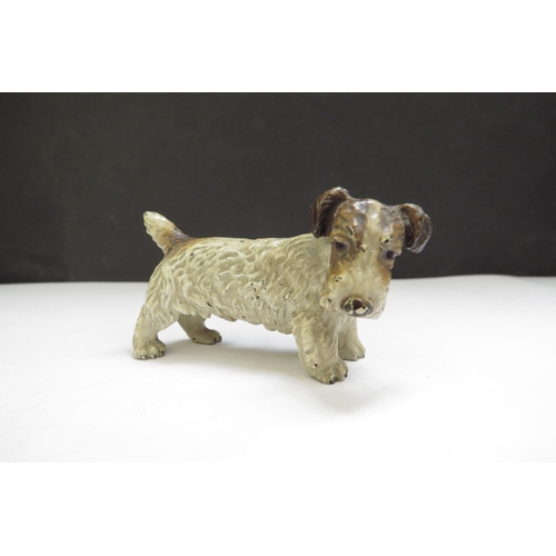 6389 - An Austrian cold painted bronze of a terrier, 7cm long