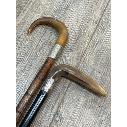 6145 - Two horn handled walking canes both with silver collars including Albert Baker & Co., Birmingham and... 