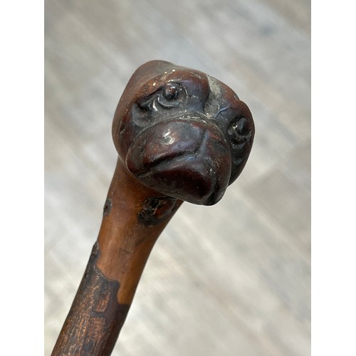 6154 - A Victorian walking cane, the handle carved as the head of a Pug, 84cm tall