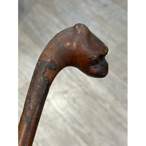 6154 - A Victorian walking cane, the handle carved as the head of a Pug, 84cm tall