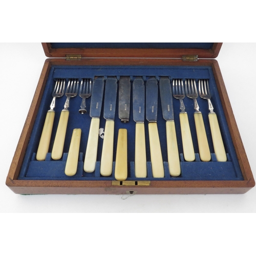 6164 - A mahogany cased set of six ivorine handled silver bladed fish knives and forks, two handles detaile... 