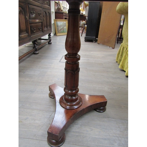 6209 - A William IV rosewood tulip stem to tripod base, 70cm x 61cm x 47cm