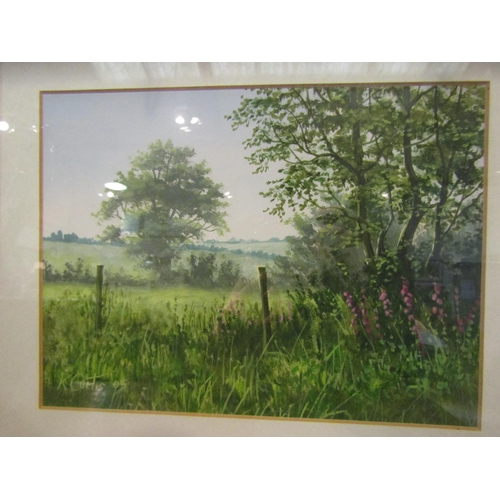 1023 - KEVIN CURTIS (1958-2009): An acrylic of field boundary, signed lower left, dated ‘05, framed and gla... 