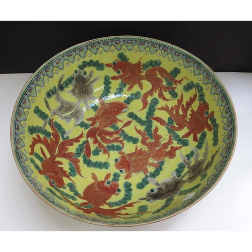 6348 - A 19th Century Chinese bowl decorated with goldfish in vibrant colours, 25cm diameter (chipped)