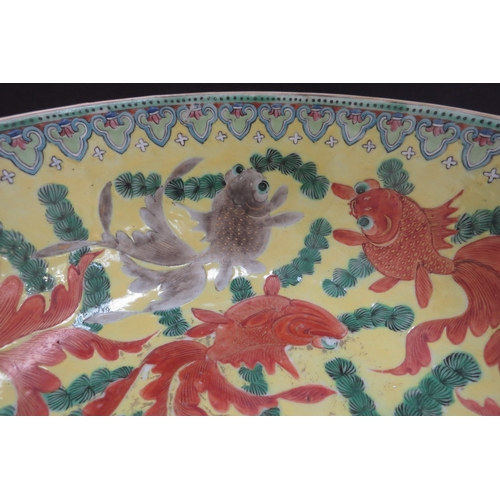 6348 - A 19th Century Chinese bowl decorated with goldfish in vibrant colours, 25cm diameter (chipped)