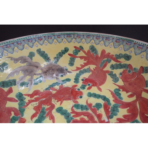 6348 - A 19th Century Chinese bowl decorated with goldfish in vibrant colours, 25cm diameter (chipped)