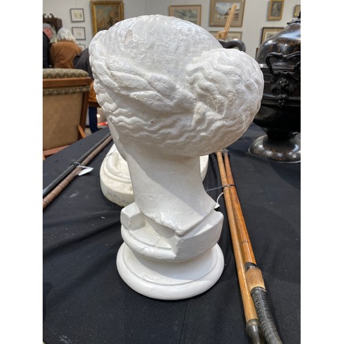 6146 - Signed D Brucciani & Co, plaster bust of Venus, overpainted marked to back, 38cm tall