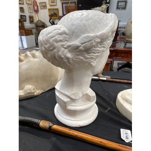 6146 - Signed D Brucciani & Co, plaster bust of Venus, overpainted marked to back, 38cm tall