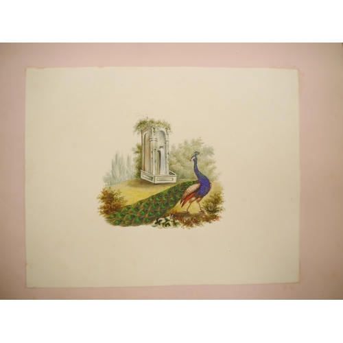 7096 - A fine Georgian commonplace album c.1831, containing many well executed pen, ink and watercolour ske... 