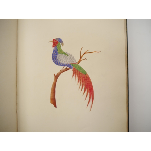 7096 - A fine Georgian commonplace album c.1831, containing many well executed pen, ink and watercolour ske... 