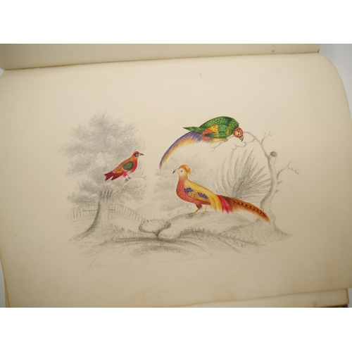 7096 - A fine Georgian commonplace album c.1831, containing many well executed pen, ink and watercolour ske... 