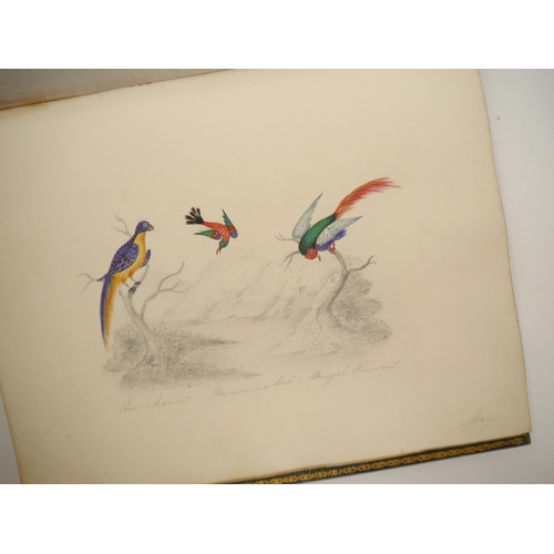 7096 - A fine Georgian commonplace album c.1831, containing many well executed pen, ink and watercolour ske... 