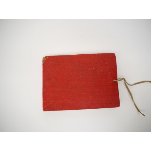 7342 - (China, Qing Dynasty.) A circa late 19th/early 20th Century book containing 12 Chinese pith or rice ... 