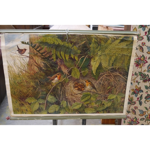 2490 - A canvas back wall hanging poster of robins     (R) £65