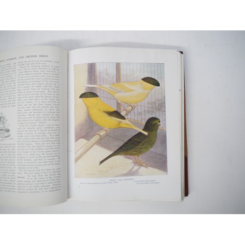 7284 - John Robson. 'Canaries, Hybrids and British Birds in Cage and Aviary'  Edited by S.H.Lewer. 26 colou... 