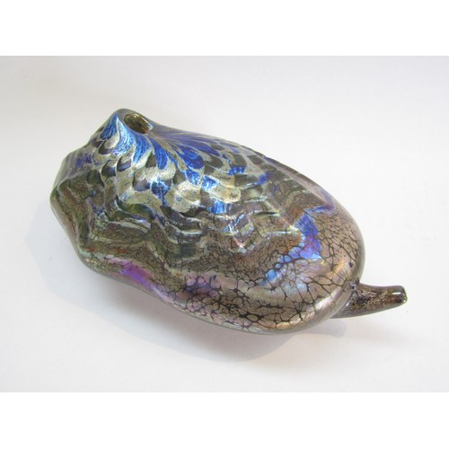 9141 - A Peter Layton Studio art glass shell form sculpture in iridescent glass. Signed to base and dated 1... 