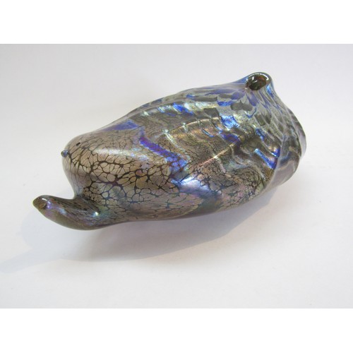 9141 - A Peter Layton Studio art glass shell form sculpture in iridescent glass. Signed to base and dated 1... 