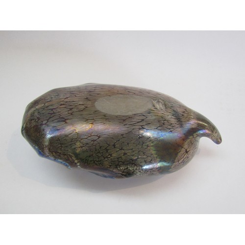 9141 - A Peter Layton Studio art glass shell form sculpture in iridescent glass. Signed to base and dated 1... 