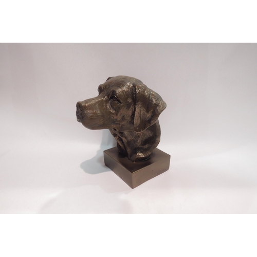 4013 - A resin bronze bust of a labrador on plinth base, 21cm tall