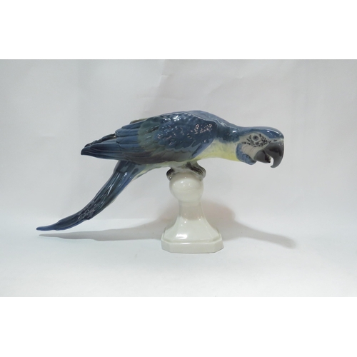 4127 - A Royal Dux figurine of a Blue Macaw parrot upon perch, 20cm high x 38.5cm long