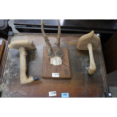 2179 - A pair of deer horns, and deer leg coat hooks