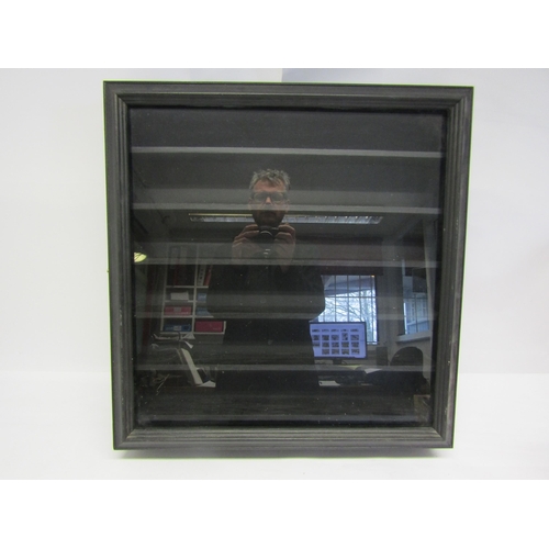 8157 - A wall hanging collectors display case with glazed front and shelved interior, 57cm x 56cm