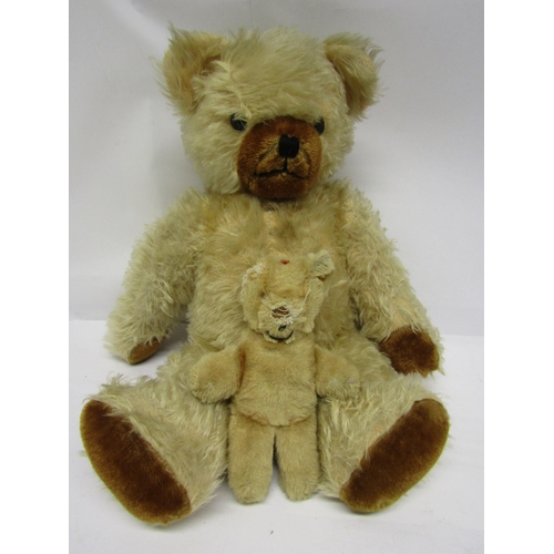 8300 - A golden mohair articulated teddy bear with black boot button eyes, brown muzzle and pads, 50cm tall... 