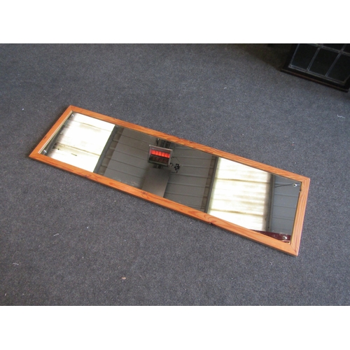 1308 - A pine framed full length mirror, 126cm x 36cm     (C)