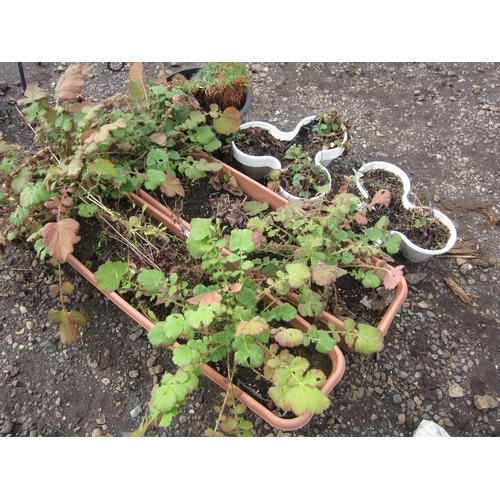 3426 - A quantity of mixed planted planters    (E) £5-10