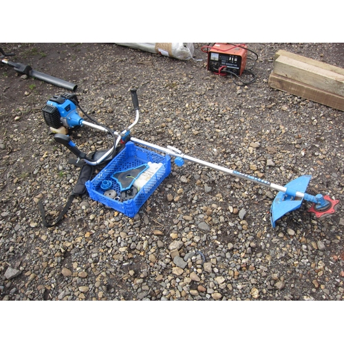 3435 - An SGS straight shaft strimmer