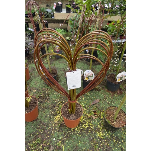 3190A - A living Willow heart