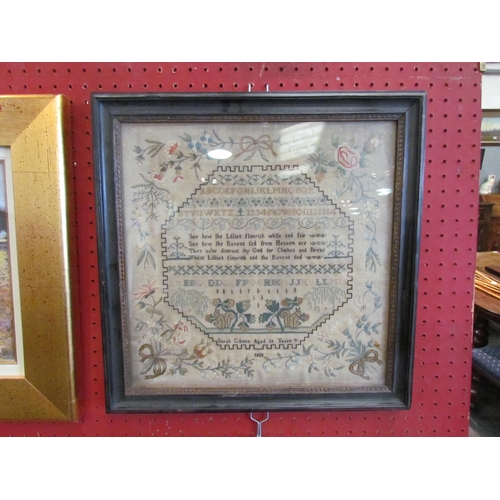 1080 - A Regency era sampler by Sarah Gibson aged 12 years, alphabet and religious theme, floral borders, d... 