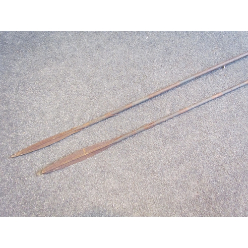 1108 - Two barbed spears, all-metal shaft, largest approximately 207cm long