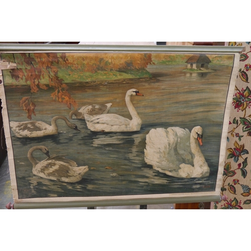 2302 - A canvas back wall hanging poster of swans   (C)