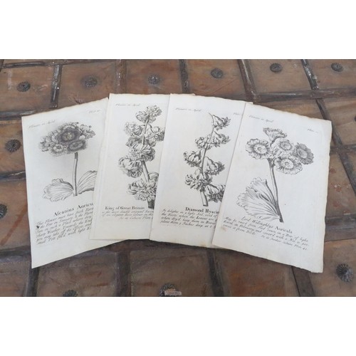 2108 - Four 18thCentury black and white Botanical prints flowers in April