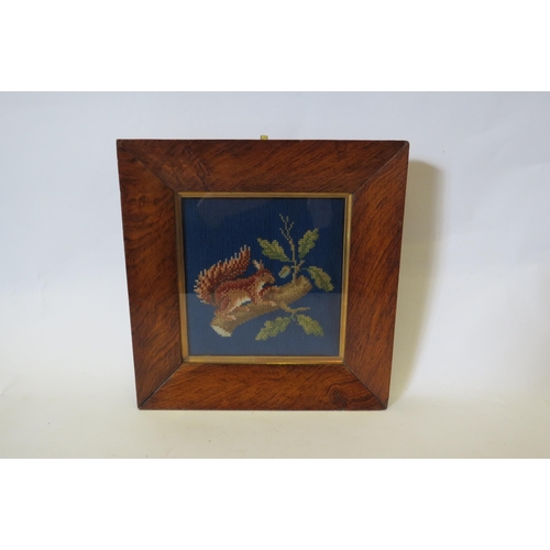 1496 - A 19th Century frame with later needlepoint of squirrel on a branch, image 16cm x 15cm