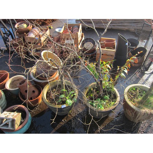 3503 - A pair of potted glazed pots