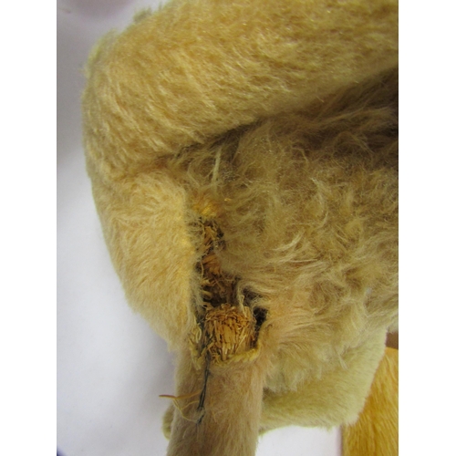 8304 - A straw filled golden mohair teddy bear with glass eyes, stitched nose and mouth and articulated lim... 