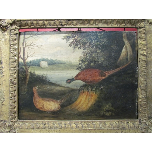 4081 - A 19th Century naïve oil on panel of pheasants in a country estate, classical gilt gesso frame, 15cm... 