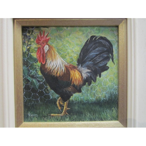 4102 - KATE WILKINS: An oil on board of a cockerel, signed lower left, framed, 15cm x 15cm image size