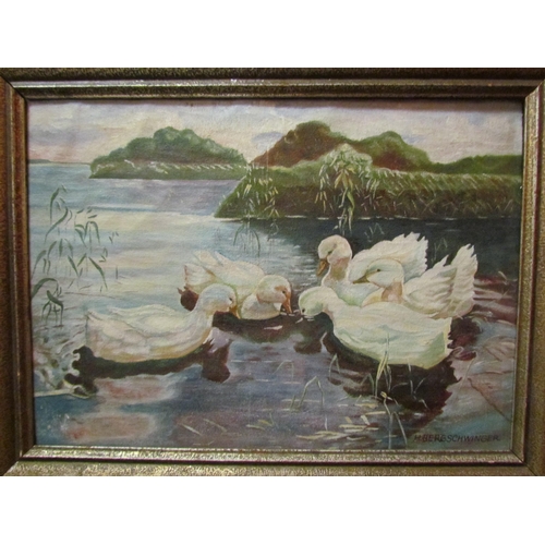 4123 - H. BERGSCHWINGER: An early 20th Century oil on canvas of ducks, signed lower right, framed, 30cm x 4... 