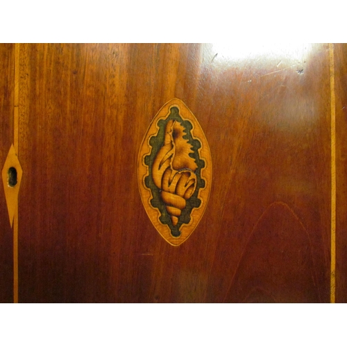 4147 - An inlaid mahogany single door narrow cabinet with shelved interior, 99cm tall x 45cm wide x 24cm de... 