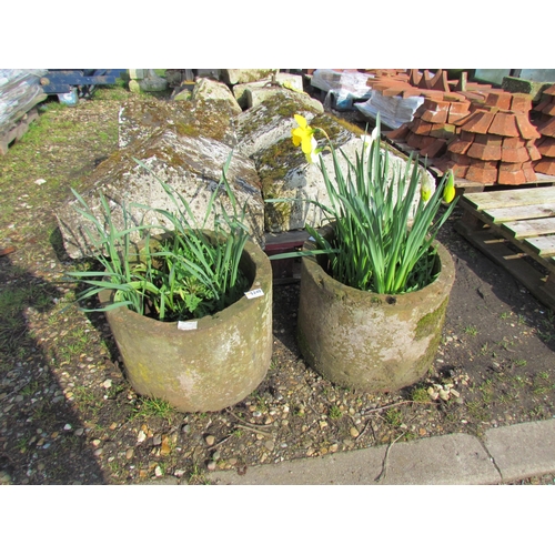 5240 - A pair of weathered circular planters with daffodils planted