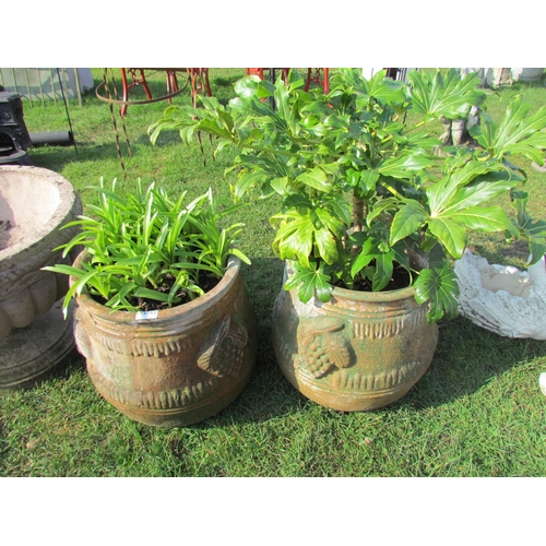 5452 - A pair of terracotta pots with grape detail, 17