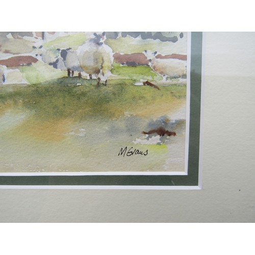 1052 - M.EVANS: An original watercolour of sheep in a rural landscape, signed lower right. Framed and glaze... 