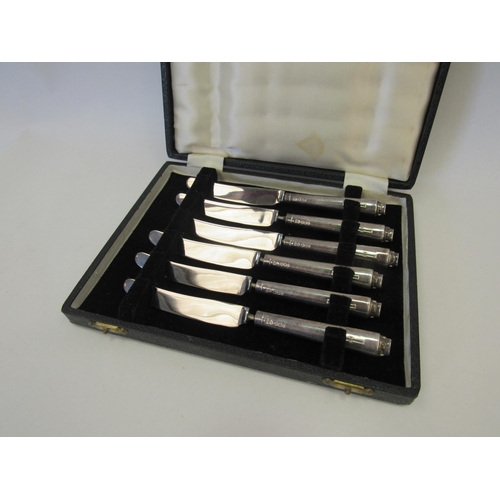 1301 - A cased set of six silver handle butter knives